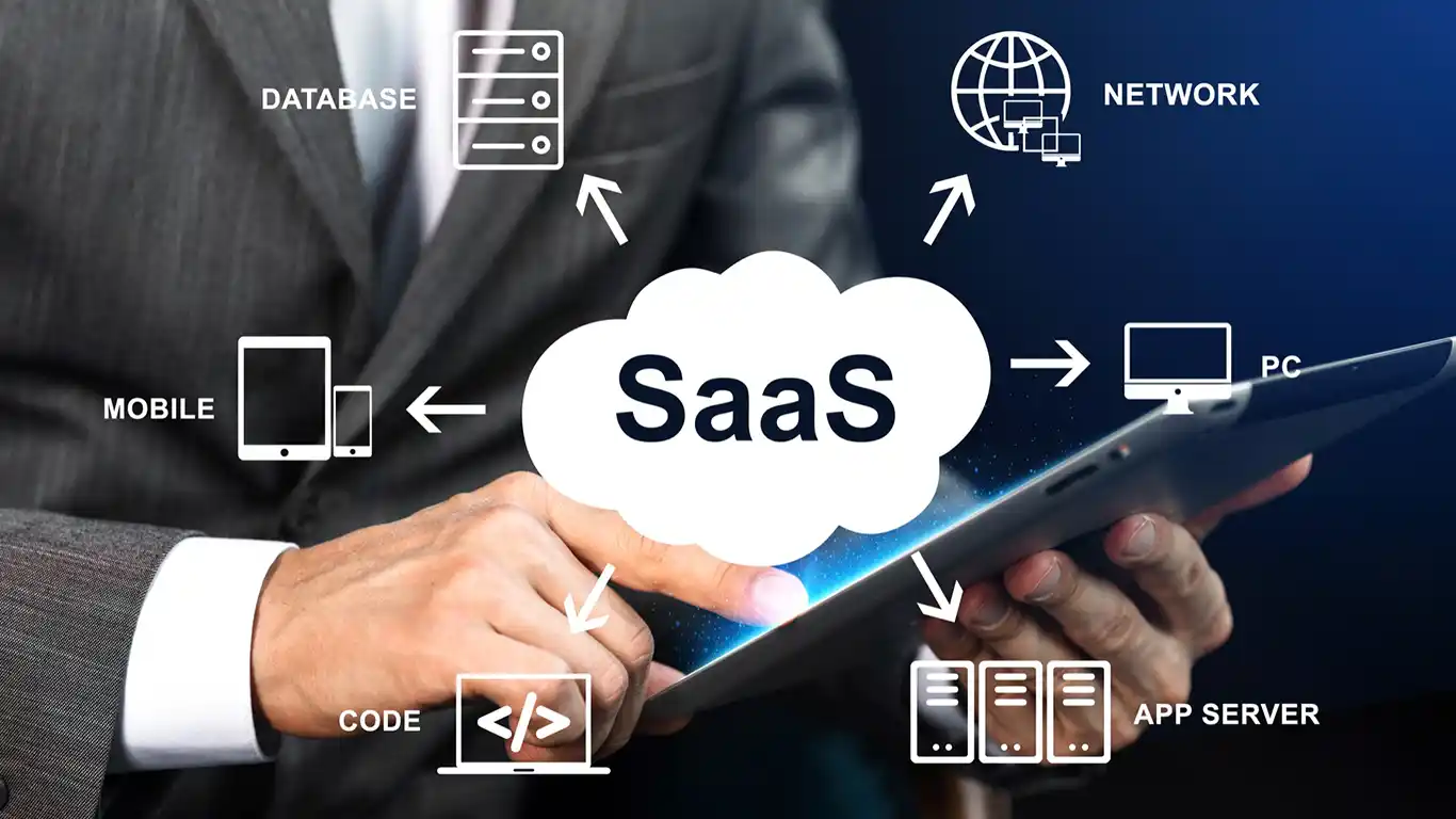 Why Our SaaS Software Comes with a Perpetual License